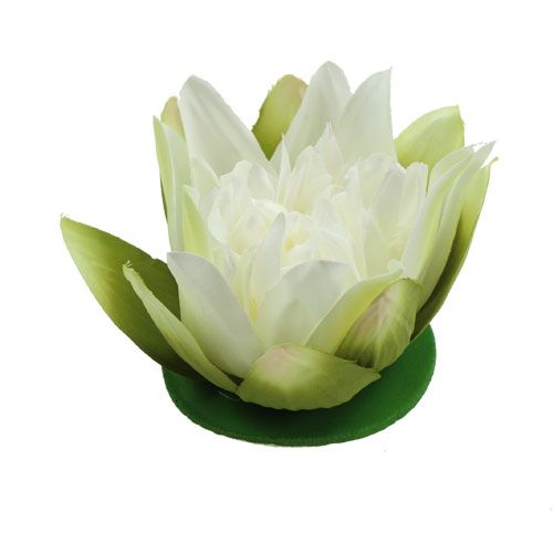 Floristik24 Crema di fiori di loto artificiale 13 cm 4 pezzi
