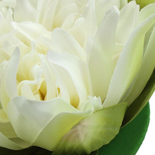 Floristik24 Crema di fiori di loto artificiale 13 cm 4 pezzi