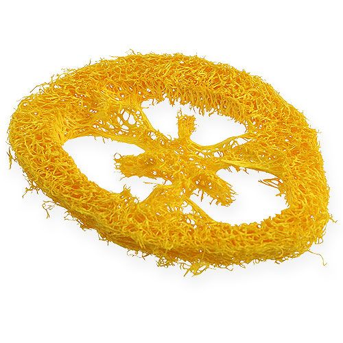 Floristik24 Dischi Luffa gialli 25 pz
