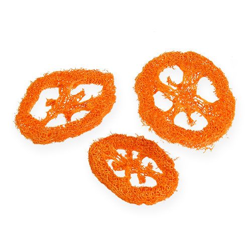 Floristik24 Fette Loofah Arancio 25pz