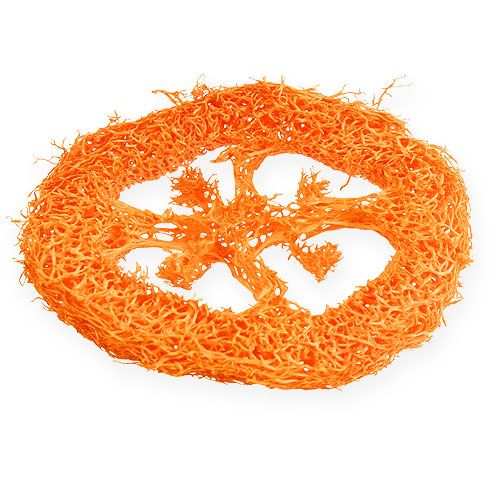 Prodotto Fette Loofah Arancio 25pz