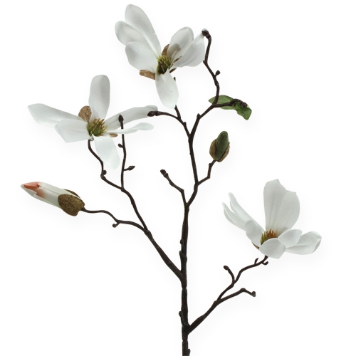 Floristik24 Deco Branch Magnolia 40cm Bianco 4 pezzi