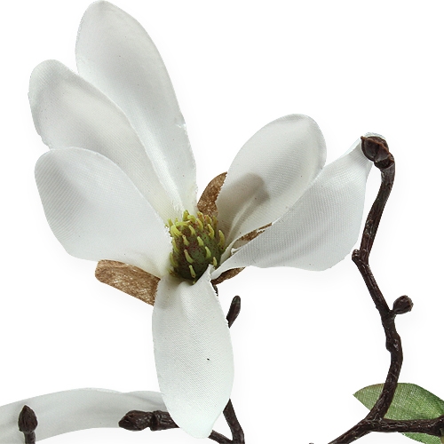 Floristik24 Deco Branch Magnolia 40cm Bianco 4 pezzi