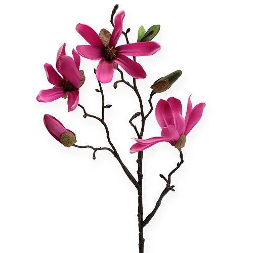 Floristik24 Ramo di magnolia rosa 45 cm 4 pezzi