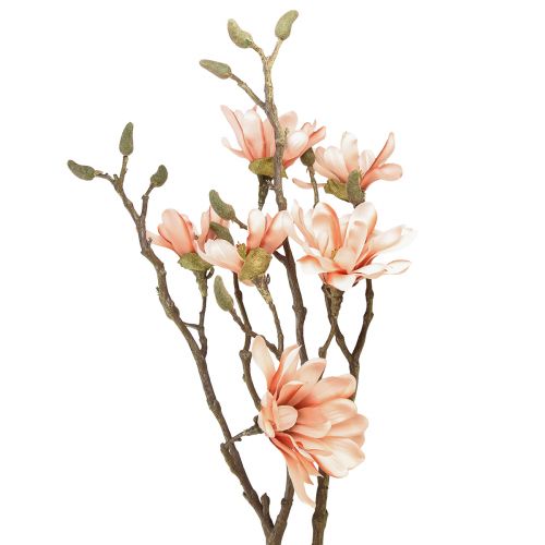 Floristik24 Ramo di magnolia con 6 fiori Magnolia artificiale salmone 84cm