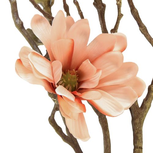 Floristik24 Ramo di magnolia con 6 fiori Magnolia artificiale salmone 84cm