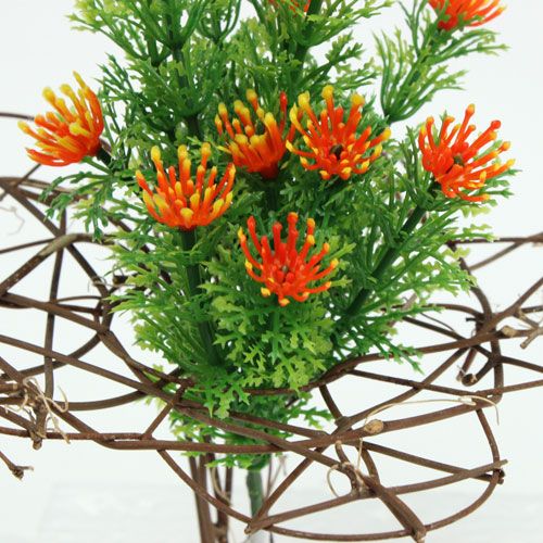 Floristik24 Bracciale Vite Ø15cm 8pz
