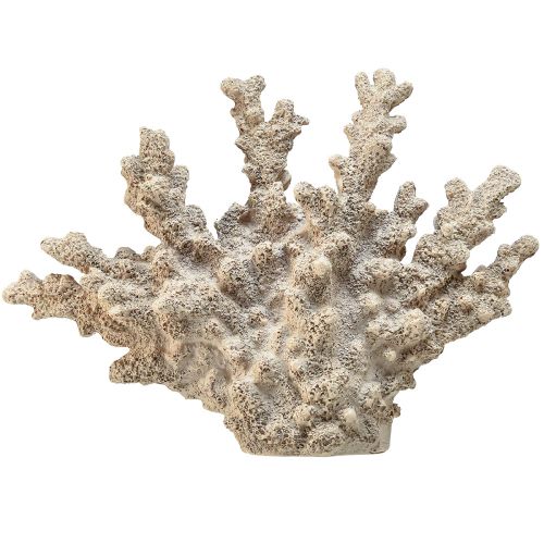 Floristik24 Decorazione corallo dettagliata in poliresina in grigio - 26 cm - eleganza marittima per la tua casa