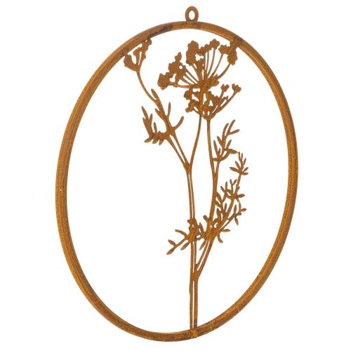 Anello in metallo, metallo arrugginito, anello decorativo, decorazione da parete, rametto di aneto, Ø38cm acquistare | Floristik24.it