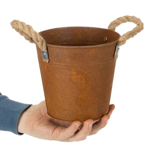 Vaso in metallo con manici, porta erbe aromatiche, decorazione effetto ruggine Ø16,5cm H15cm | Floristik24.it