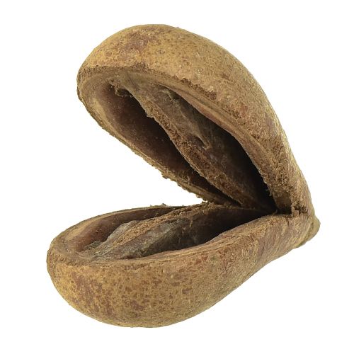 Floristik24 Mike Fruit Materiali Naturali Bagon Fruit Naturale 8cm 50 pz