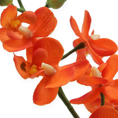 Floristik24 Mini Orchid Real Touch Orange 35cm