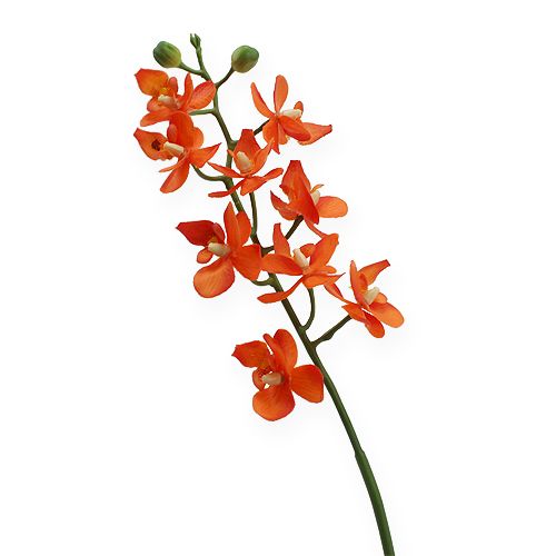 Floristik24 Mini Orchid Real Touch Orange 35cm