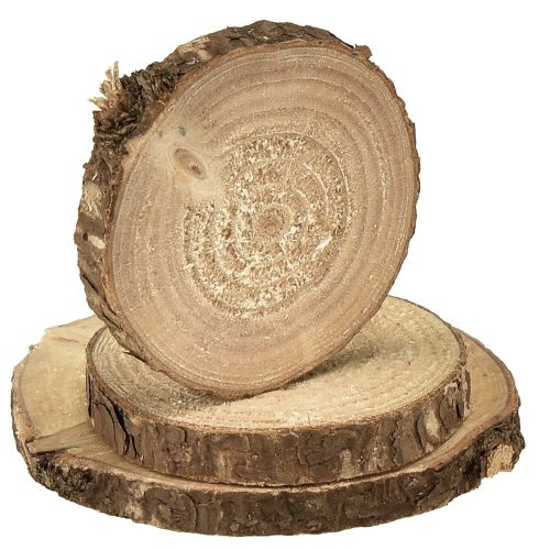 Prodotto Mini dischi di legno decorativi per alberi naturali Ø3-6cm 600g