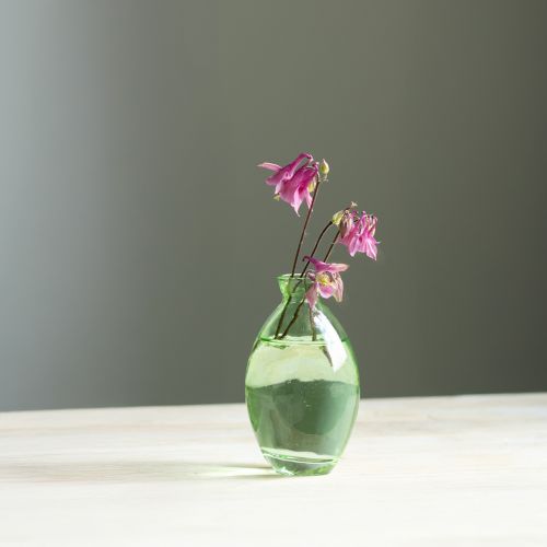 Floristik24 Mini vasi in vetro a forma di bulbo, vasi in vetro colorato verde H12cm 6 pezzi