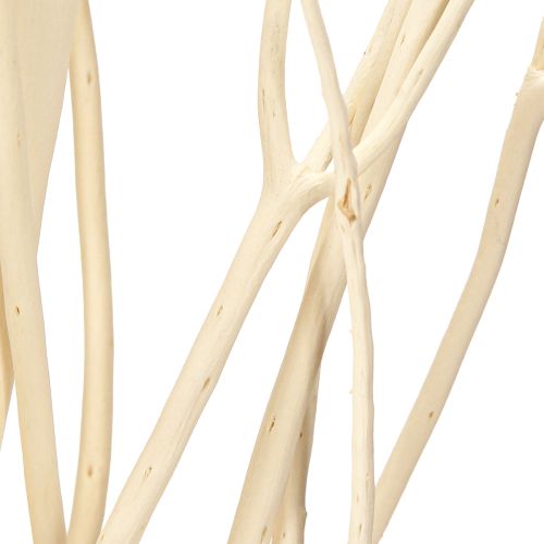 Prodotto Rami di Mitsumata bianchi 34-60cm 12 pz
