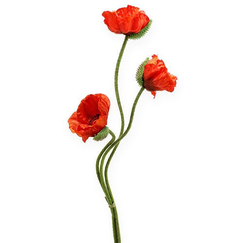 Floristik24 Fiore artificiale Poppy Orange 75cm 3 pezzi