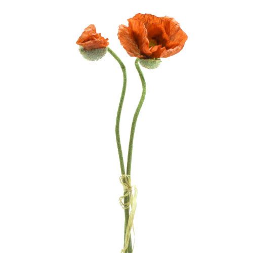 Floristik24 Poppy orange 67cm 2 pezzi