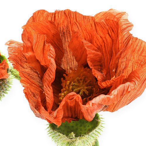 Prodotto Poppy orange 67cm 2 pezzi