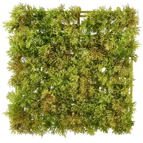 Tappetino in muschio artificiale – perfetto per quadri di muschio verde chiaro 25×25 cm