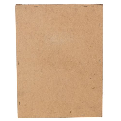 Prodotto Quadro con muschio, vero quadro con muschio con cornice, conservato, 40×30 cm