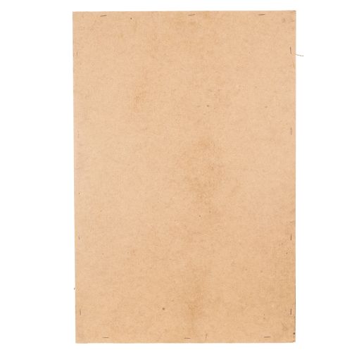 Prodotto Quadro con muschio, muschio e rametti veri e conservati, naturale, 60×40 cm