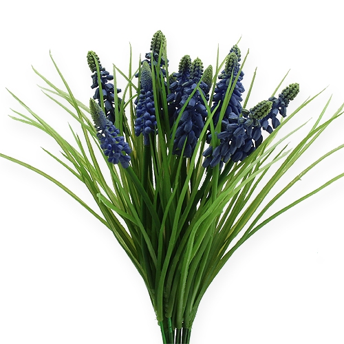 Giacinti d&#39;uva 28cm - 30cm Blu 15 pz