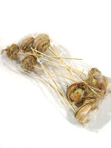 Floristik24 Nido di uccello con uova sulla barra 6 cm 6 pezzi