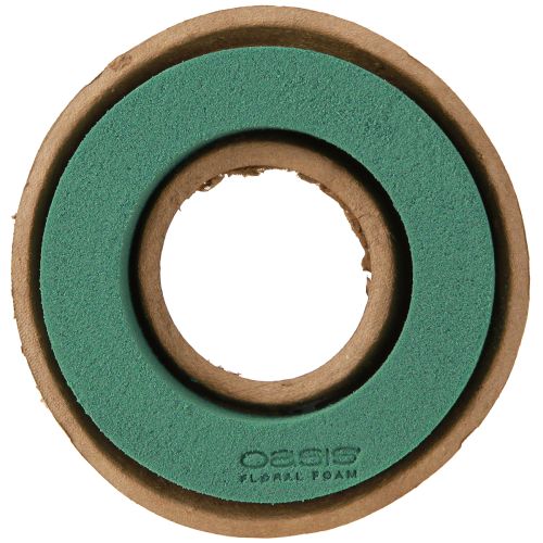 Floristik24 OASIS® Biolit® Anello/Corona 17cm 6 pz