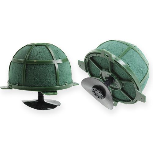 Prodotto Spugna floreale bagnata Powerstrick-Corso 7,5cm 6 pz.