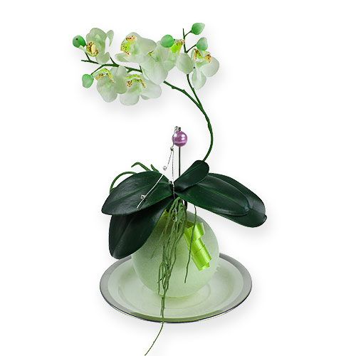 Floristik24 Palline di schiuma verde 9 cm 4 pezzi