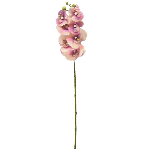 Prodotto Orchidea Phalaenopsis artificiale 7 fiori viola crema 73 cm