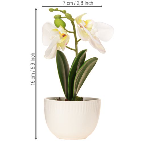 Prodotto Mini orchidee orchidee bianche artificiali in vaso 15cm
