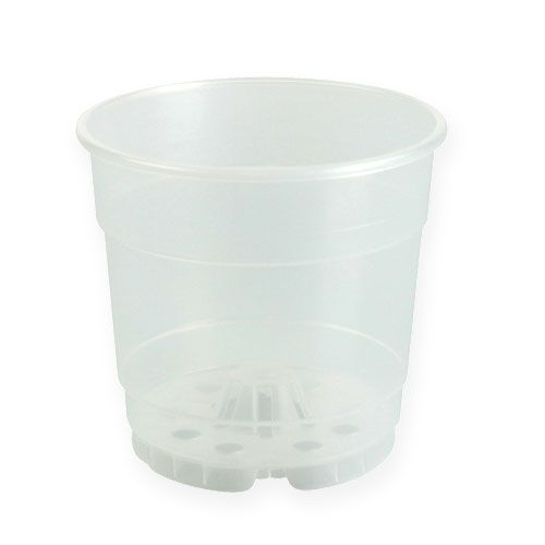 Floristik24 Vaso per piante per orchidee Ø12cm trasparente 10pz