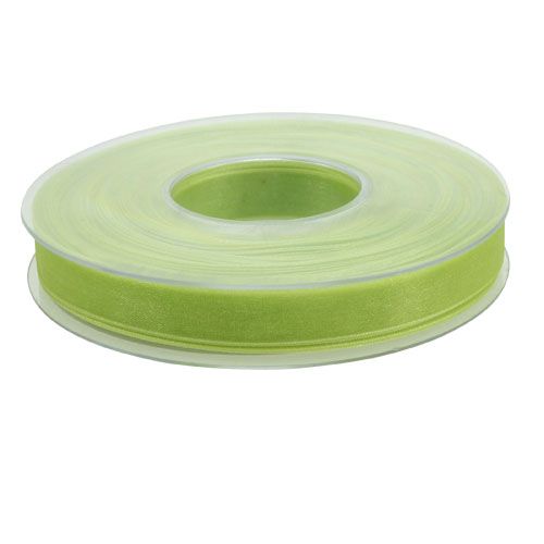 Floristik24 Nastro in organza verde chiaro 15mm 50m