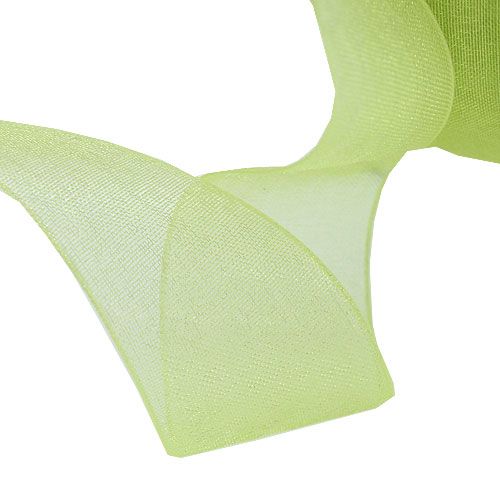 Floristik24 Nastro in organza verde chiaro 15mm 50m