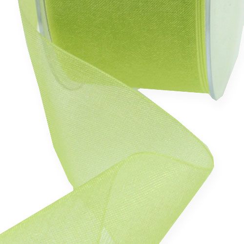 Floristik24 Nastro organza con cimosa 4cm 50m verde chiaro