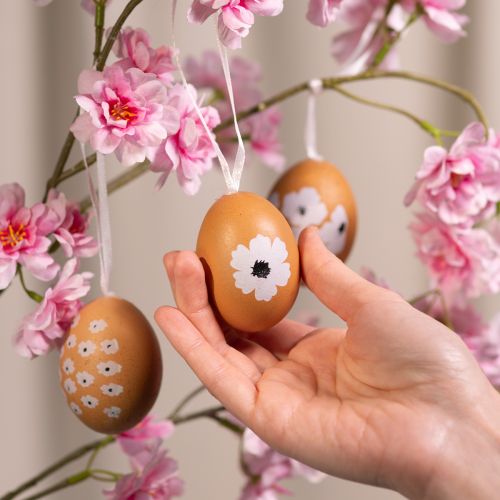 Prodotto Decorazione da appendere Uova di Pasqua e di primavera Vere uova di gallina, naturali 6 cm, 6 pezz