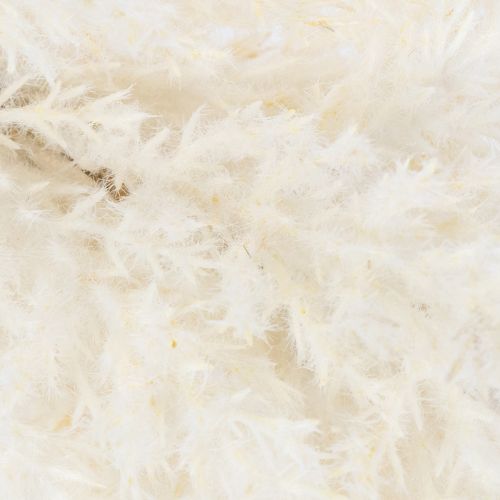 Prodotto Erba della pampa bianca, erba artificiale essiccata, piante artificiali