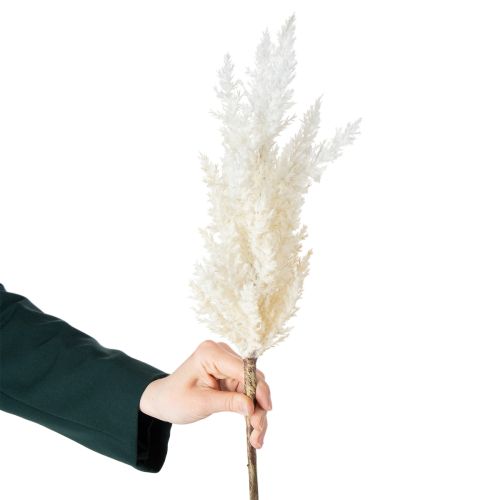 Prodotto Erba della pampa bianca, erba artificiale essiccata, piante artificiali