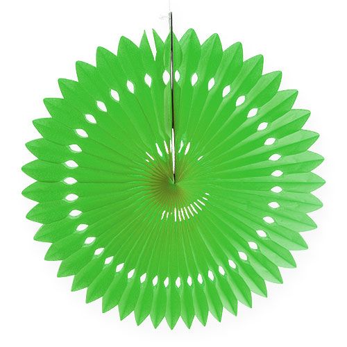 Floristik24 Fiore di carta a nido d&#39;ape verde Ø40cm 4 pezzi