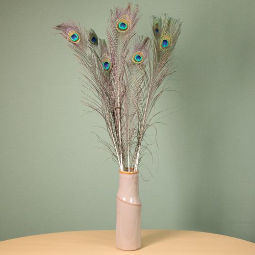 Prodotto Decorazione di piume di pavone, vere piume di uccello lunghe 75-85 cm, 8 pezzi