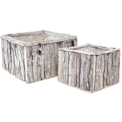 Prodotto Cassetta per piante in legno con corteccia bianco naturale 17/24 cm set da 2 pezzi