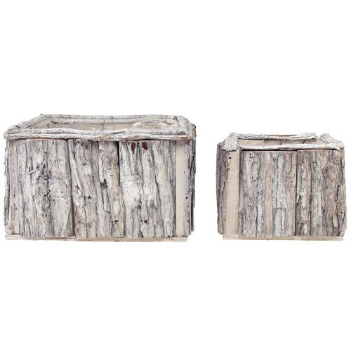 Prodotto Cassetta per piante in legno con corteccia bianco naturale 17/24 cm set da 2 pezzi