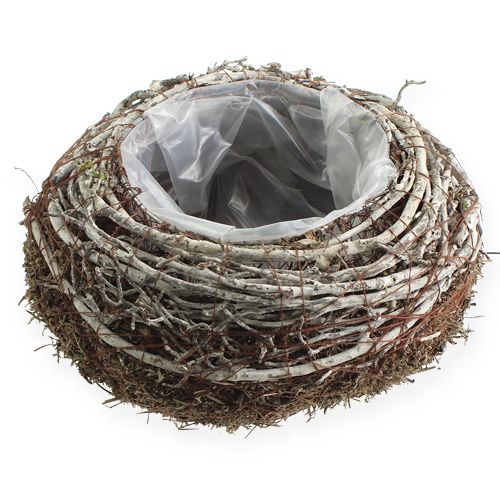 Floristik24 Ciotola per piantagione Ø18cm