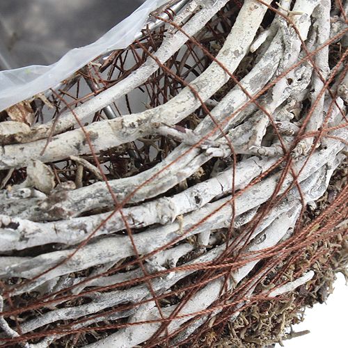 Floristik24 Ciotola per piantagione Ø18cm