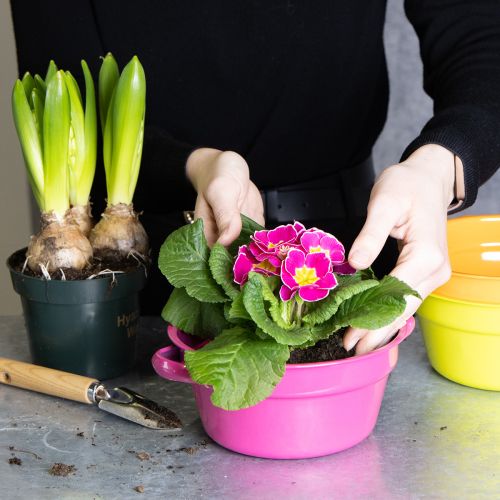 Prodotto Fioriera in metallo, design originale per spazi abitativi sofisticati e decorazioni eleganti, 17 cm, 3 pezzi