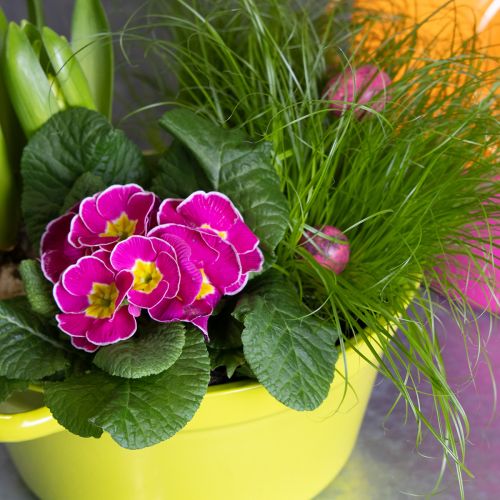 Prodotto Fioriera in lamiera, decorazione primaverile per il soggiorno, 25 cm, 3 pezzi