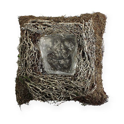 Floristik24 Fioriera quadrata 20 cm x 20 cm