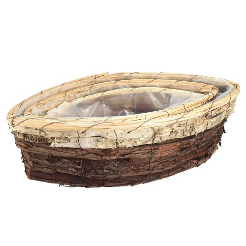 Floristik24 Barchette per piante in corteccia di legno 3 colori 33,5/40/48 cm set da 3